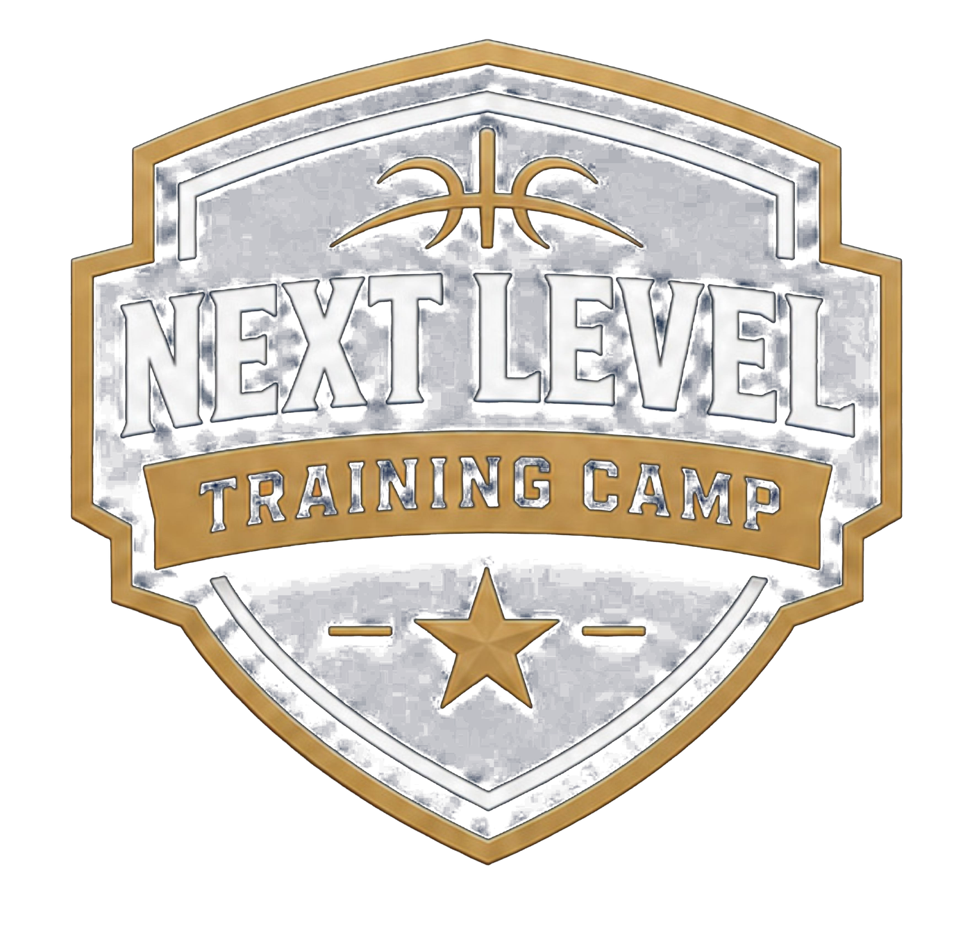 Next Level Training Camp shield logo